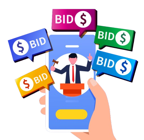 Online E-Auction and Bidding